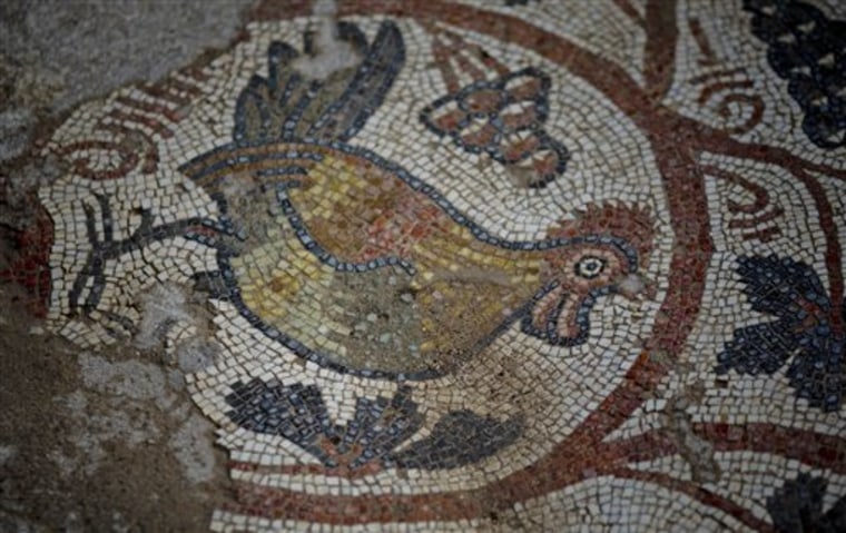 A detail of a mosaic in the archaeological site where an ancient church was found in Hirbet Madras, central Israel, Wednesday, Feb. 2, 2011. Israeli archaeologists say they have uncovered a 1,500-year-old church, including an unusually well-preserved mosaic floor with images of lions, foxes, fish and peacocks. According to Amir Ganor of the IAA (Israel Antiquities Authority) the church in the hills southwest of Jerusalem was active between the fifth and seventh centuries A.D. 
